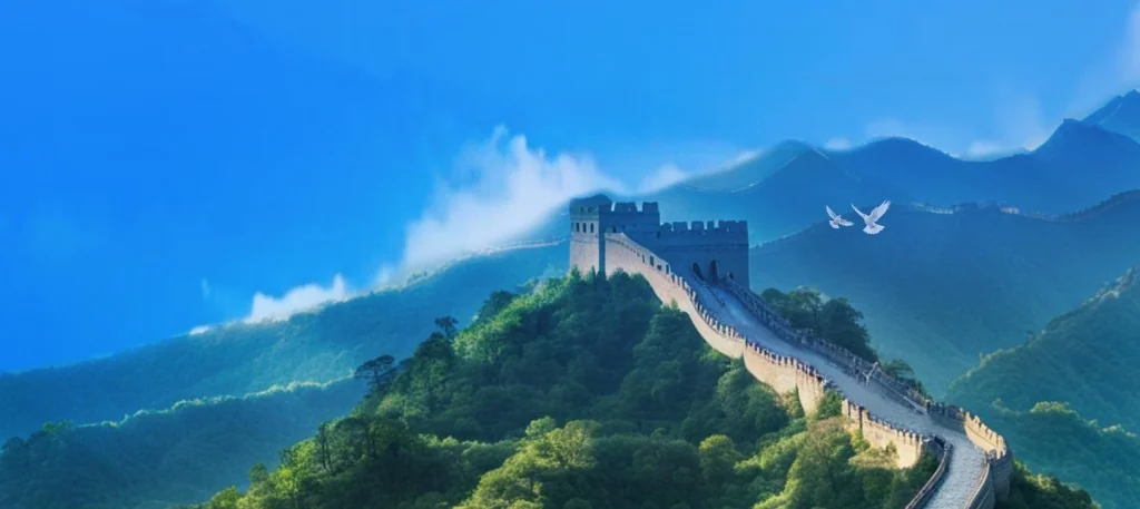 山东省电子税务局与自然人办税服务终端界面实景